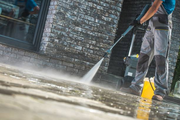 Animal Enclosure Cleaning in Wagener, SC